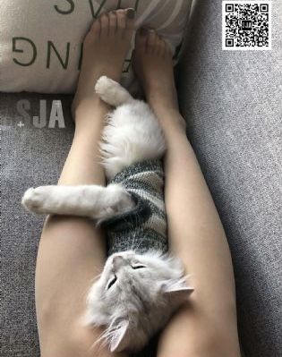 少女日记
