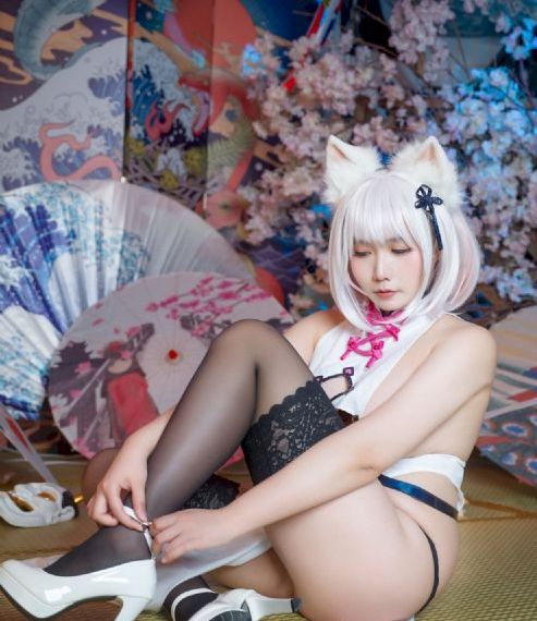 猫狗大战
