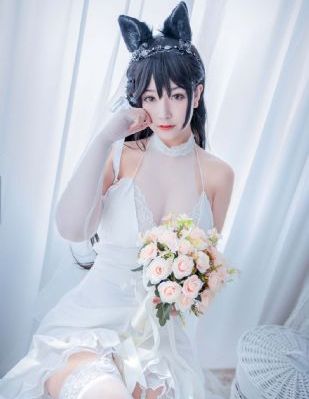 玫瑰故事电视剧免费播放