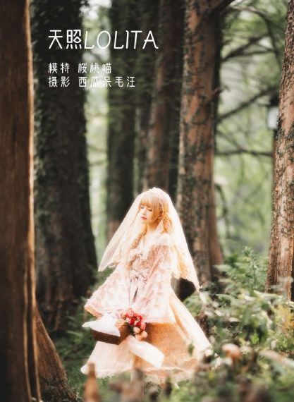 县委大院电视剧全集免费观看