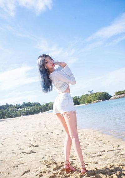 雪豹坚强岁月演员表