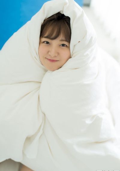 十二生肖