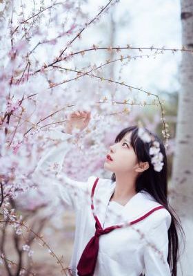 少年王